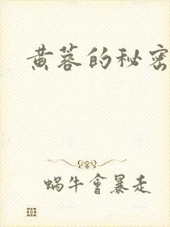 黄蓉的秘密