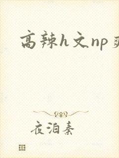 高辣h文np爽