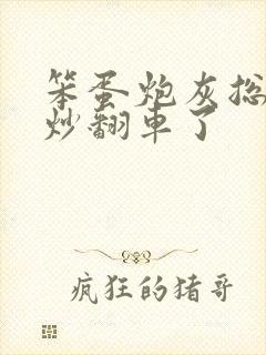 笨蛋炮灰总被爆炒翻车了