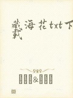 藏海花txt下载