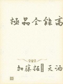 极品全能高手