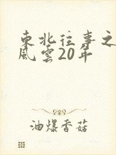 东北往事之黑道风云20年