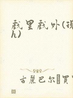 戏里戏外(现场h)