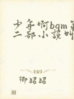 少年啊bgm第二部小说叫什么
