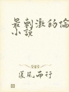 最刺激的伦子伦小说