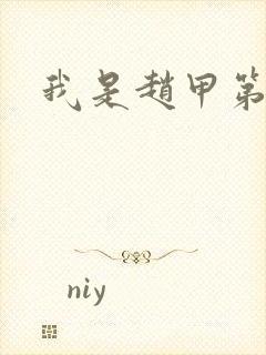 我是赵甲第小说