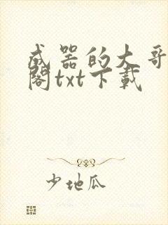 成器的大哥笔趣阁txt下载