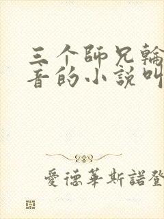 三个师兄轮流上音的小说叫什么