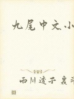 九尾中文小说网