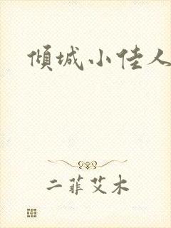 倾城小佳人封面
