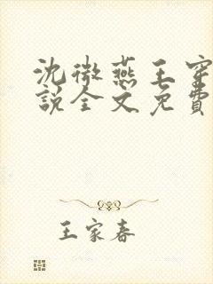 沈微燕王穿越小说全文免费阅读