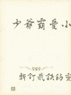 少爷霸爱小丫头