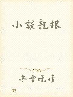 小说龙根