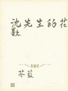 沈先生的花式调数