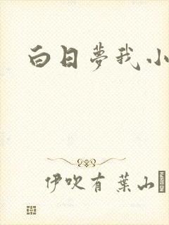 白日梦我小说