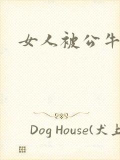 女人被公牛进入