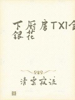 下厨房TXl金银花