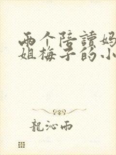 两个陪读妈妈赵姐梅子的小说