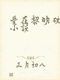 爱在黎明破晓前小说