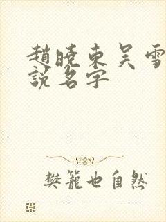 赵晓东吴雪晴小说名字