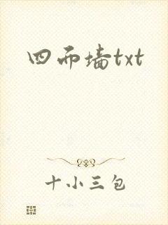 四面墙txt