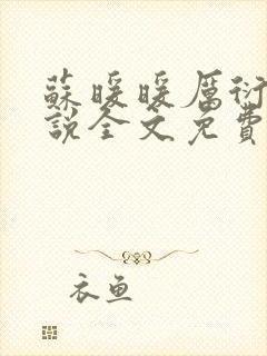 苏暖暖厉衍琛小说全文免费阅读