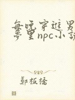 每晚穿进男神的梦里npc小说