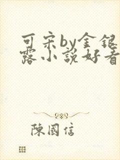 可宋by金银花露小说好看吗