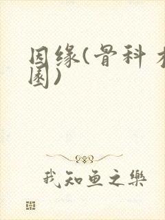 因缘(骨科 校园)