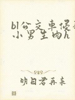 bl公交车侵犯小男生肉h