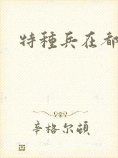 特种兵在都市