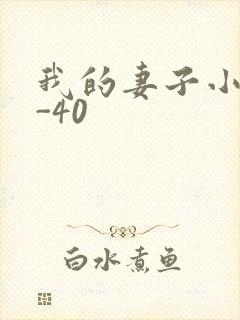 我的妻子小谨1-40