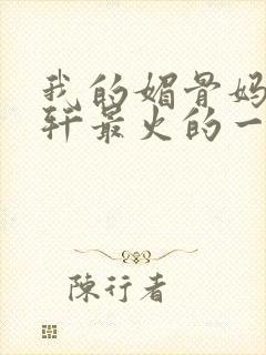 我的媚骨妈妈林轩最火的一句