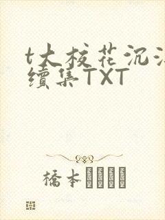 t大校花沉浮录续集TXT