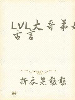 LVL大哥弟媳古言