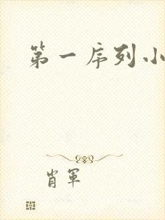 第一序列小说