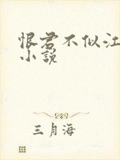 恨君不似江楼月小说