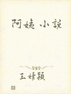 阿姨 小说