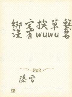 绑定挨草系统后没有wuwu名字