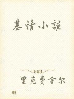 基情小说