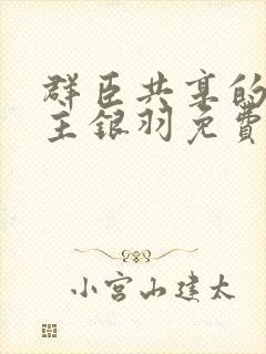 群臣共享的小公主银羽免费阅读