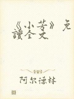 《小芳》免费阅读全文