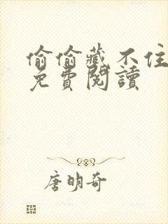 偷偷藏不住小说免费阅读