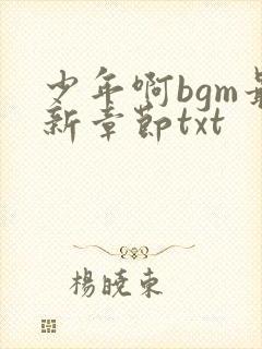 少年啊bgm最新章节txt