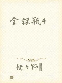 金银瓶4