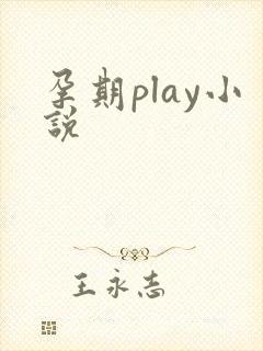 孕期play小说