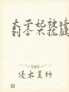 太子妃被暗卫C到合不拢腿