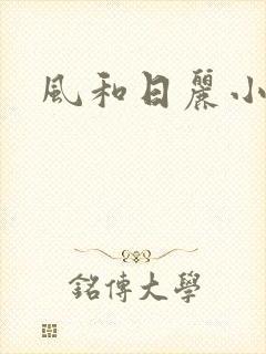 风和日丽小说