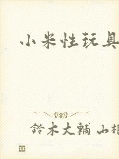 小米性玩具日记