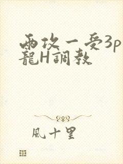 两攻一受3p双龙H调教